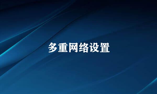多重网络设置