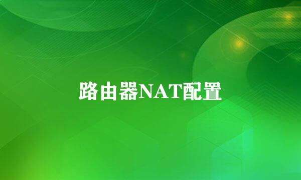 路由器NAT配置