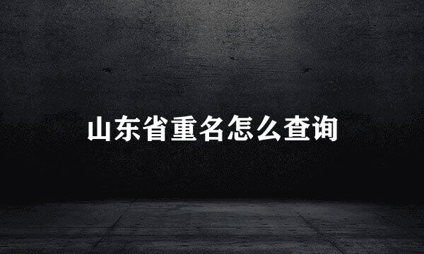 山东省重名怎么查询