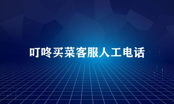 叮咚买菜客服人工电话