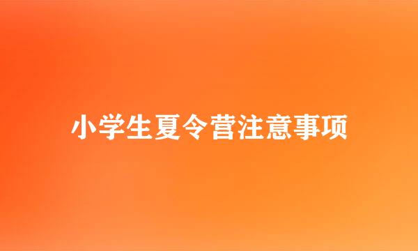 小学生夏令营注意事项