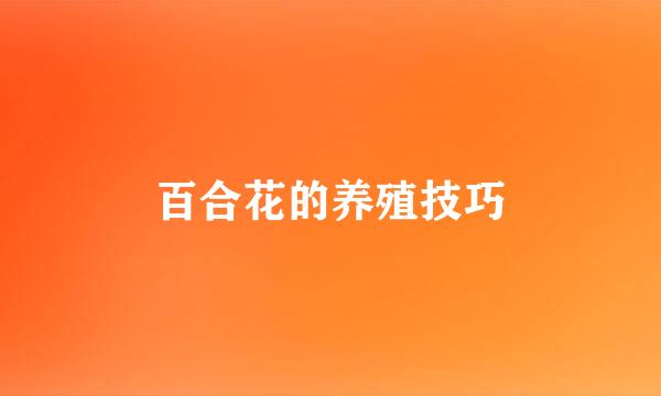 百合花的养殖技巧
