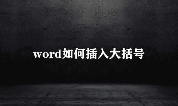 word如何插入大括号