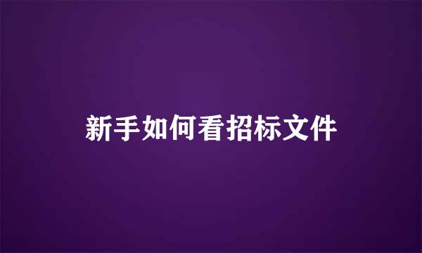 新手如何看招标文件
