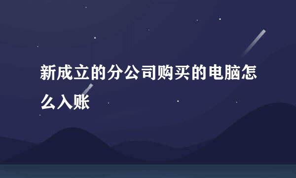 新成立的分公司购买的电脑怎么入账