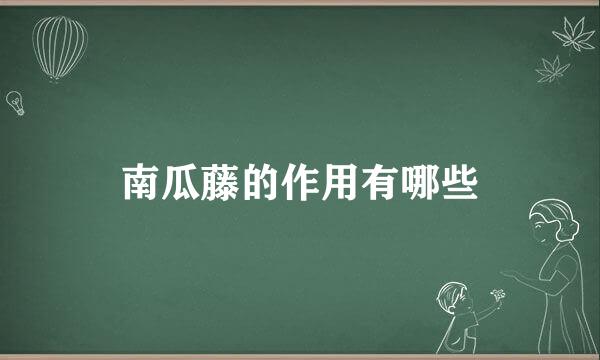 南瓜藤的作用有哪些