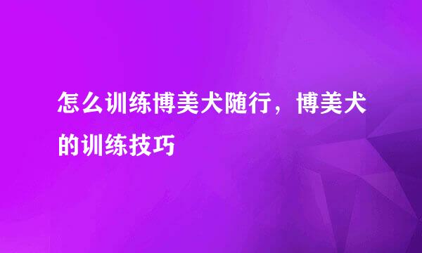 怎么训练博美犬随行，博美犬的训练技巧