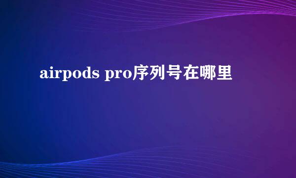 airpods pro序列号在哪里