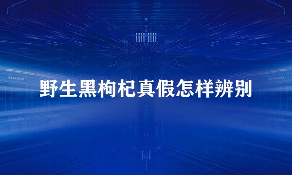 野生黑枸杞真假怎样辨别