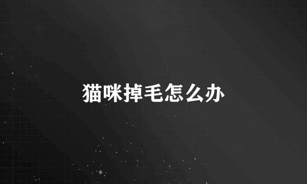 猫咪掉毛怎么办