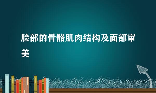 脸部的骨骼肌肉结构及面部审美