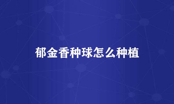 郁金香种球怎么种植
