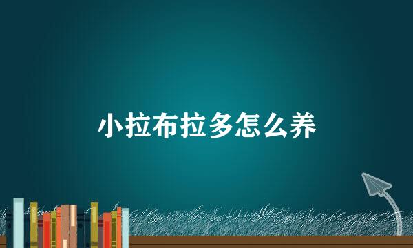 小拉布拉多怎么养