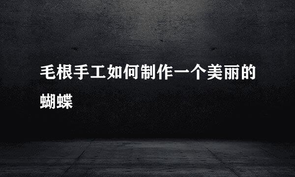 毛根手工如何制作一个美丽的蝴蝶