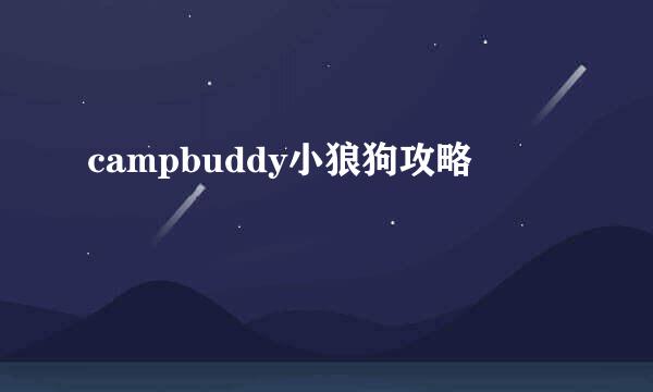 campbuddy小狼狗攻略