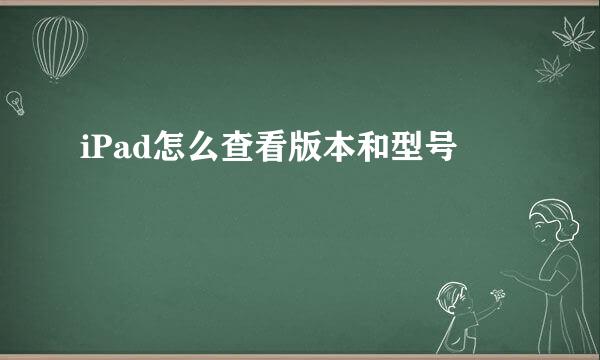 iPad怎么查看版本和型号