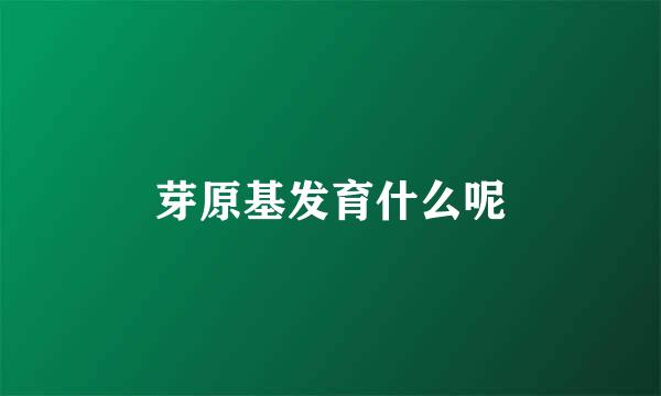芽原基发育什么呢