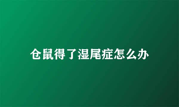 仓鼠得了湿尾症怎么办