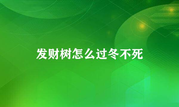 发财树怎么过冬不死