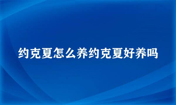 约克夏怎么养约克夏好养吗