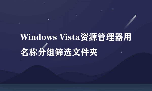 Windows Vista资源管理器用名称分组筛选文件夹