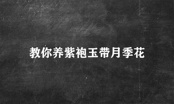 教你养紫袍玉带月季花