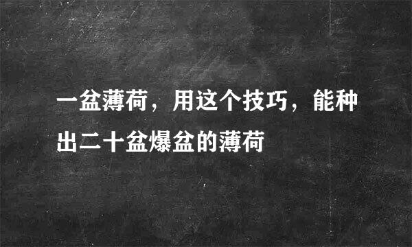 一盆薄荷，用这个技巧，能种出二十盆爆盆的薄荷