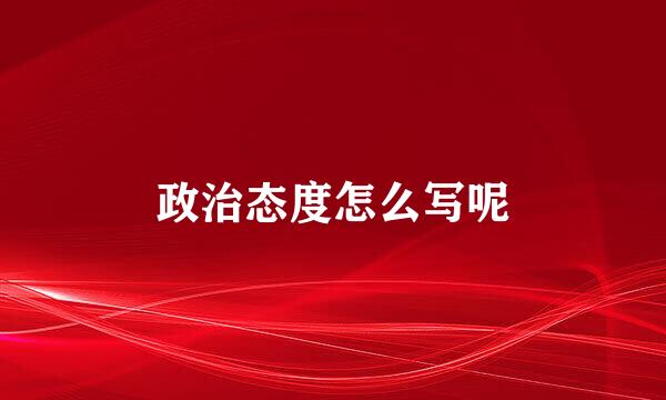 政治态度怎么写呢