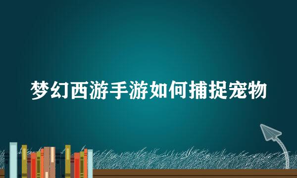 梦幻西游手游如何捕捉宠物