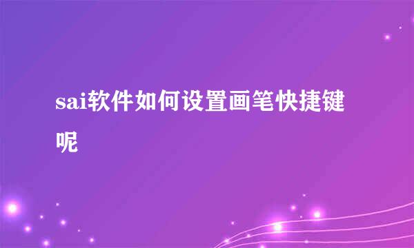 sai软件如何设置画笔快捷键呢