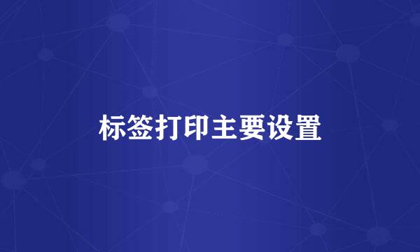 标签打印主要设置