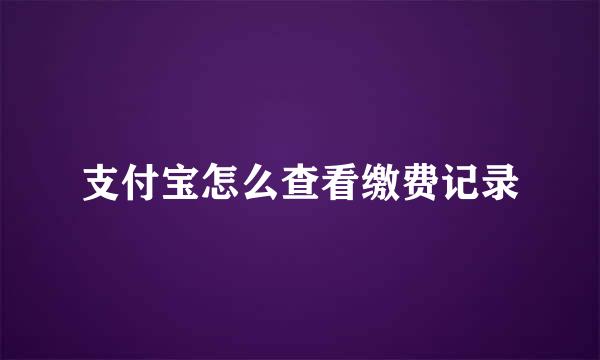支付宝怎么查看缴费记录