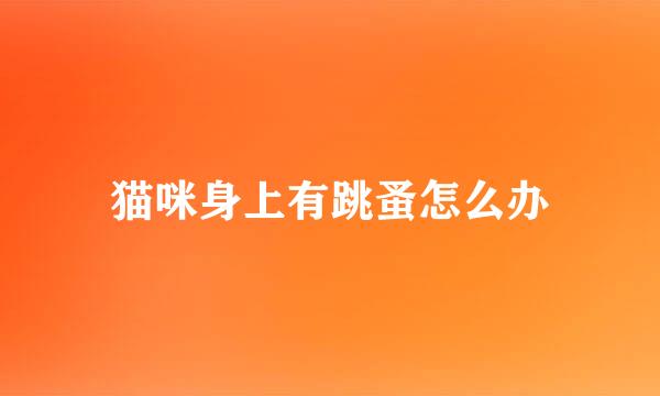 猫咪身上有跳蚤怎么办