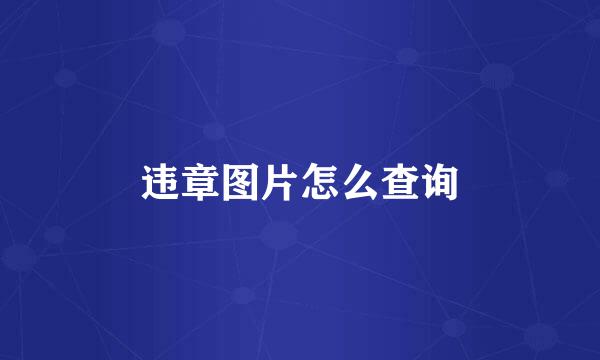 违章图片怎么查询