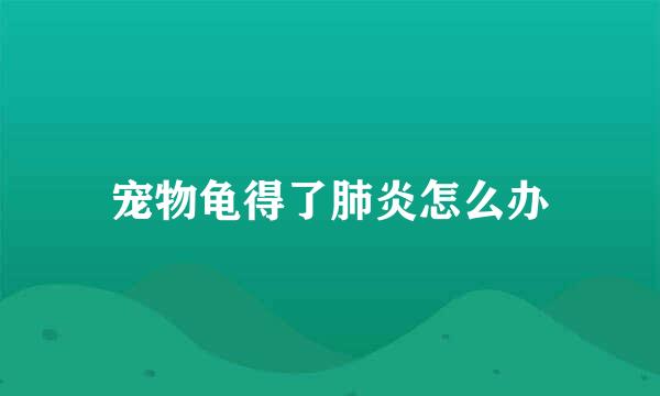 宠物龟得了肺炎怎么办