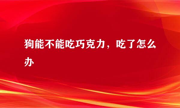 狗能不能吃巧克力，吃了怎么办