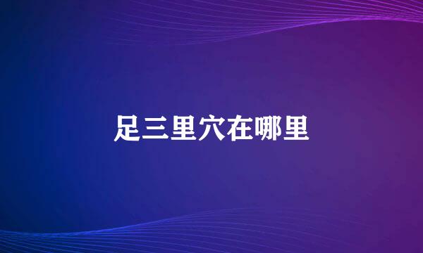 足三里穴在哪里
