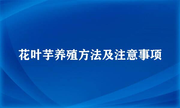 花叶芋养殖方法及注意事项