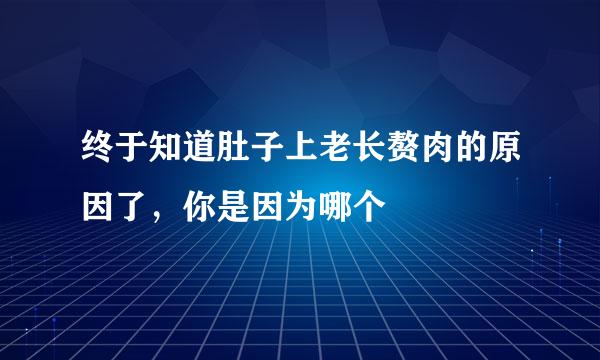 终于知道肚子上老长赘肉的原因了，你是因为哪个