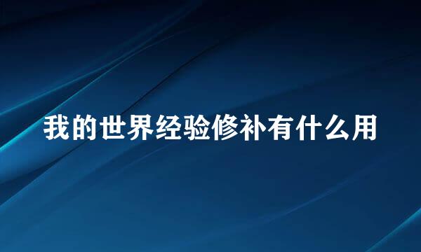 我的世界经验修补有什么用