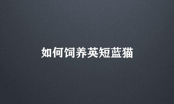 如何饲养英短蓝猫