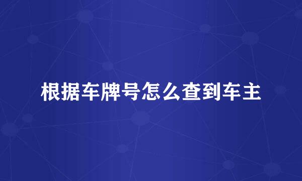 根据车牌号怎么查到车主