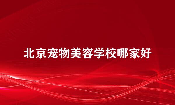 北京宠物美容学校哪家好