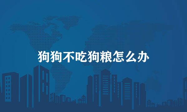 狗狗不吃狗粮怎么办