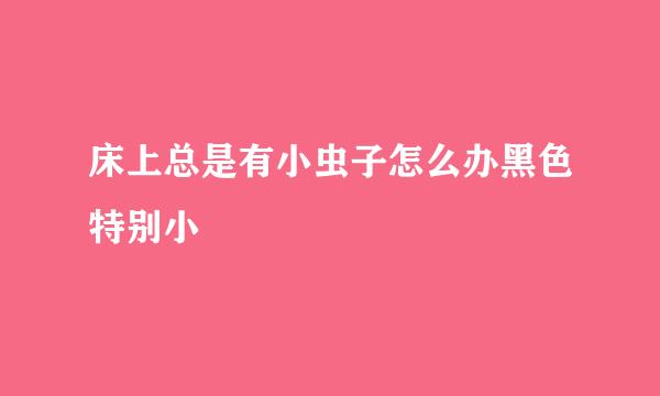 床上总是有小虫子怎么办黑色特别小
