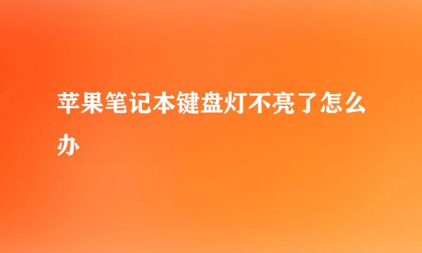 苹果笔记本键盘灯不亮了怎么办