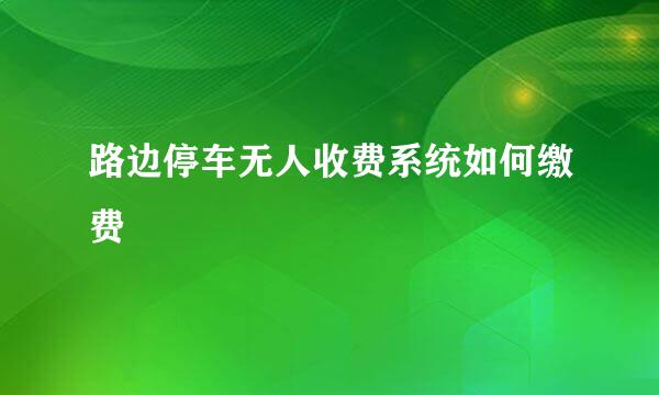 路边停车无人收费系统如何缴费