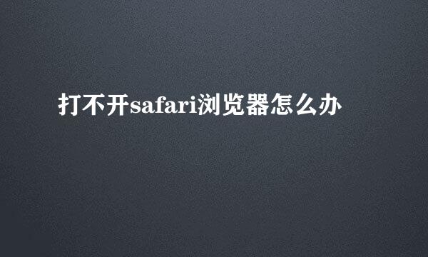 打不开safari浏览器怎么办