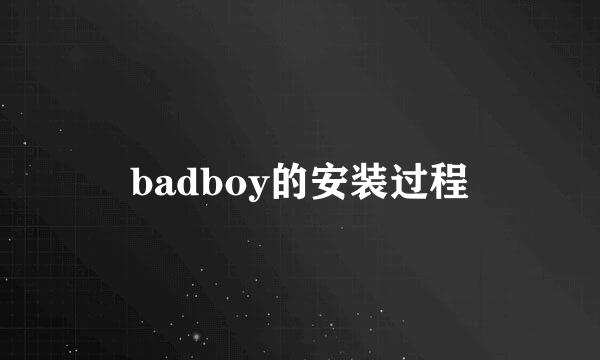 badboy的安装过程