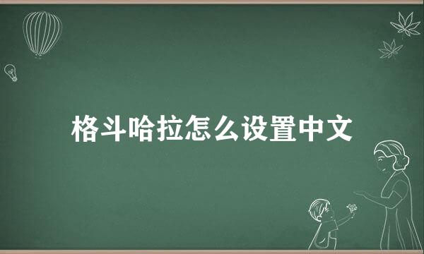 格斗哈拉怎么设置中文